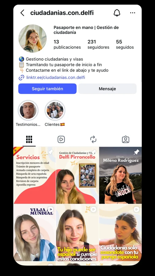Perfil de Delfina antes — 231 seguidores